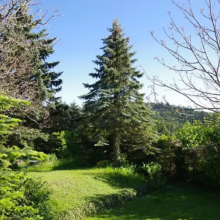 Апарт-отель Haus Pflingsteck Nahe Europa Park Rulantica Фрайамт