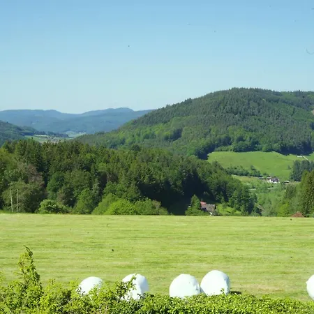 Haus Pflingsteck Nahe Europa Park Rulantica Апарт-отель 4*