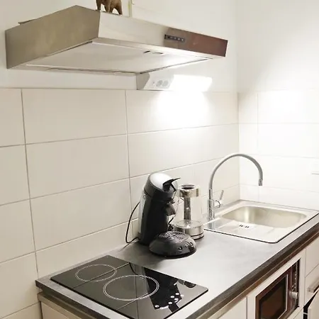 Haus Pflingsteck Nahe Europa Park Rulantica Hotel apartamentowy