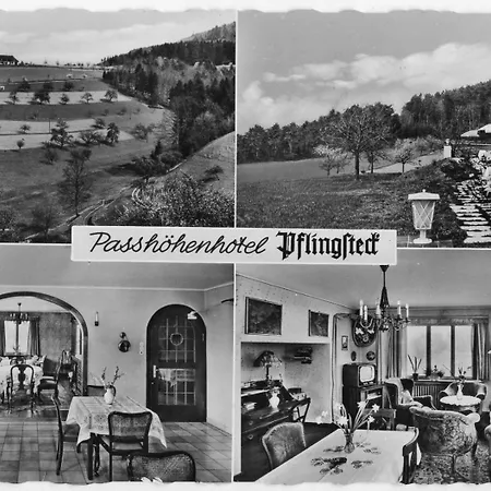 Haus Pflingsteck Aparthotel Freiamt